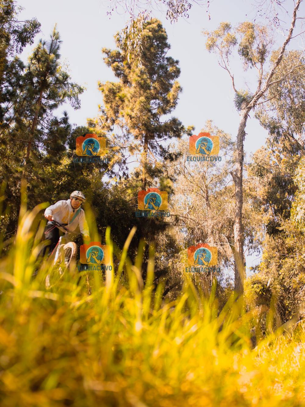 Fotografía del evento Dh Parque Coll