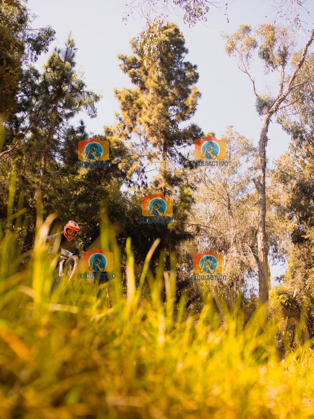 Fotografía del evento Dh Parque Coll